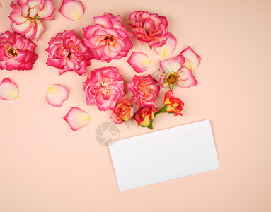 粉红玫瑰花芽和白纸袋放在一双小字背景上顶视面平背景图片