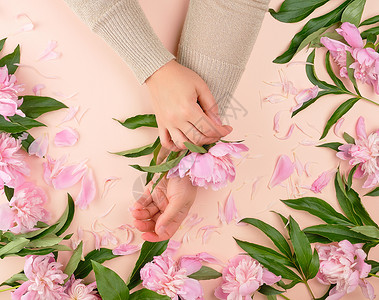 两只雌手和蜜蜂背景的粉红开花皮手护理抗老年温泉治疗的流行概念图片