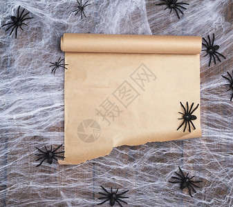 白网和黑蜘蛛上的未扭曲棕色纸卷写测试的空位和万圣节邀请函图片