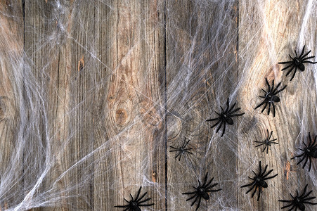 白色蜘蛛网和黑色蜘蛛在灰色的木板背景上作为万圣节的背景设计图片
