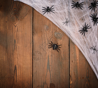 白色蜘蛛网和黑色蜘蛛在旧木板的木制背景上作为万圣节的背景图片