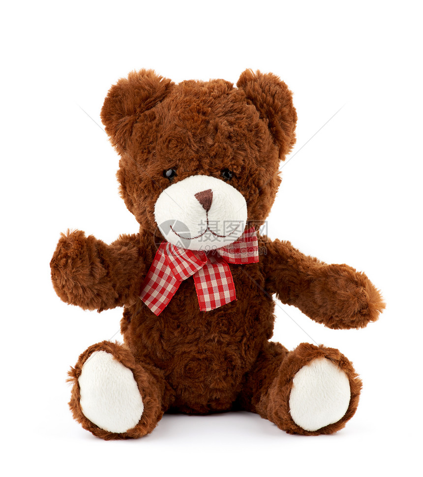可爱的棕色小泰迪熊脖子上带着红弓被白种背景孤立图片