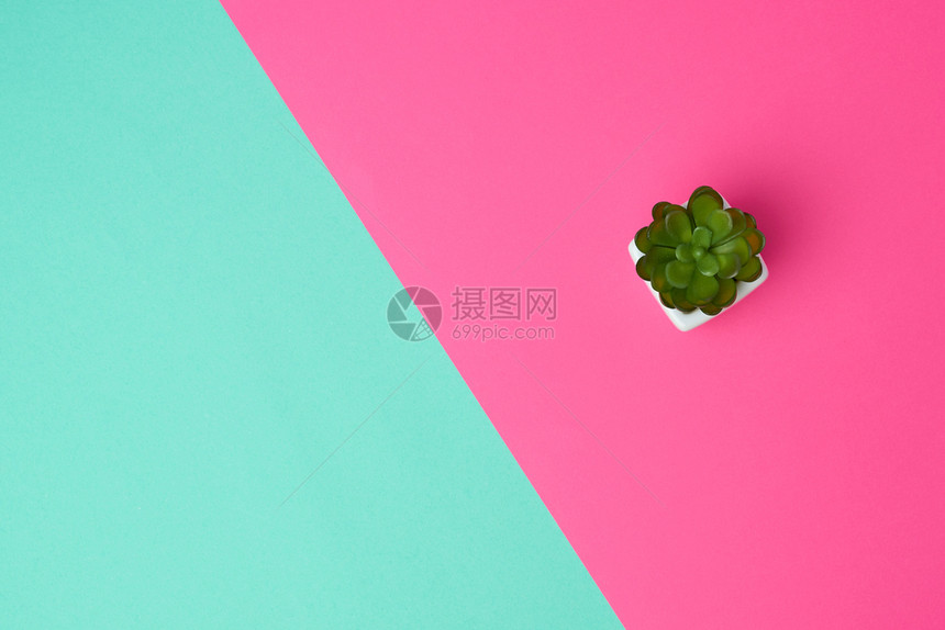 粉红色绿背景复制空间顶视图的白陶瓷锅图片
