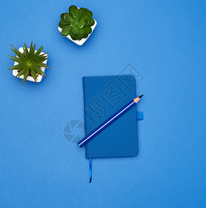 两个有植物的陶瓷锅和蓝底色封闭笔记本复制空间顶视图图片