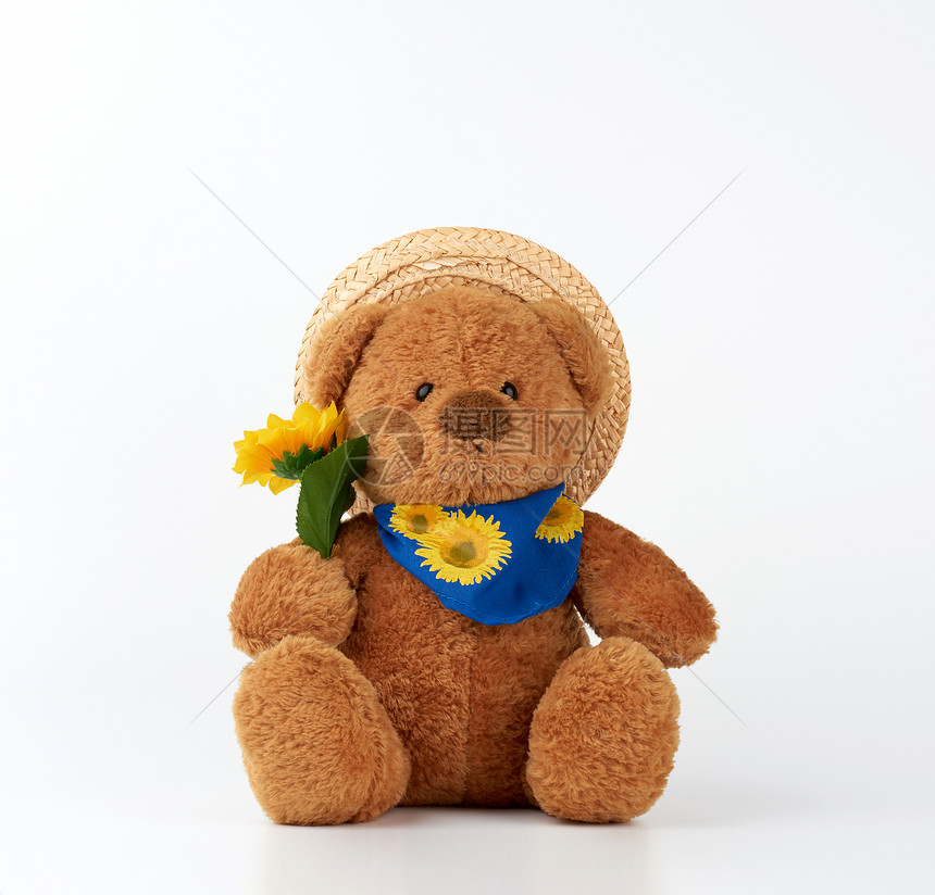 可爱的棕色小泰迪熊拿着黄色向日葵穿着草帽玩具坐在白色背景上图片