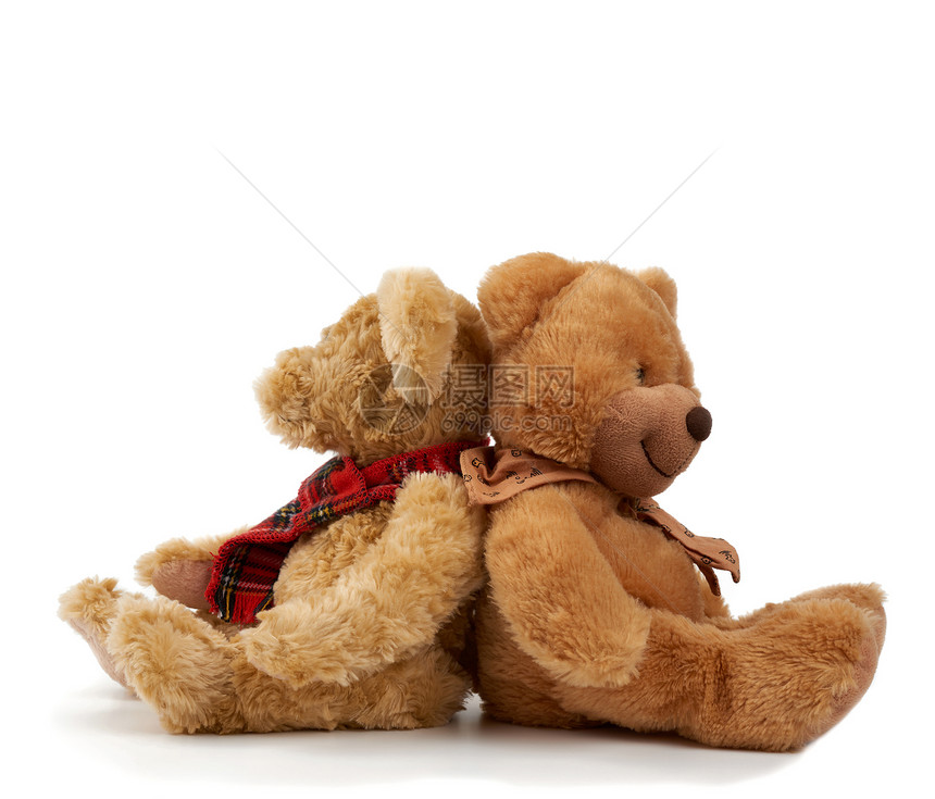 两个可爱的棕褐色小熊坐在背对支持和友谊的概念白色背景的玩具图片