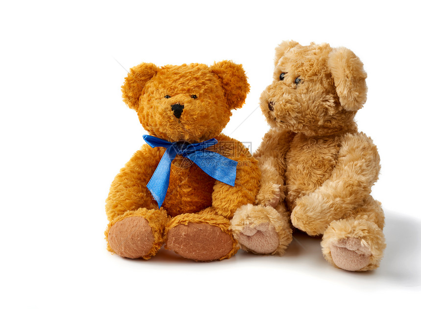 两只棕色卷发熊坐在白色背景上玩具在白色背景上被隔离图片