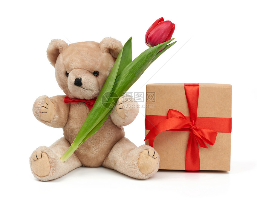 棕色可爱泰迪熊将一束红郁金香的花放在他爪子中图片