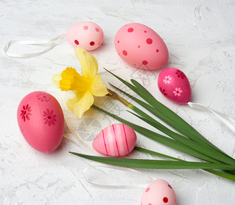 白色背景假日的黄花水仙和东方粉色鸡蛋图片