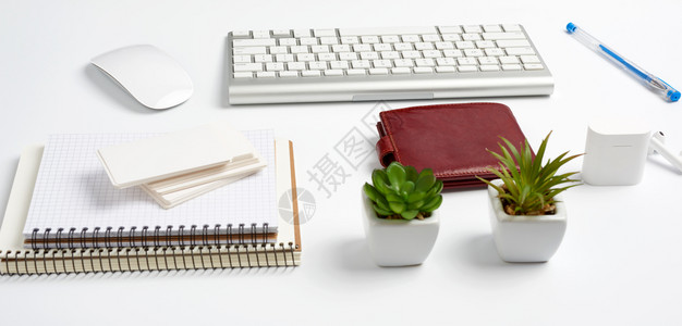 白色无线键盘一堆笔记本锅里绿色植物和老鼠自由职业者商人的工作场所图片
