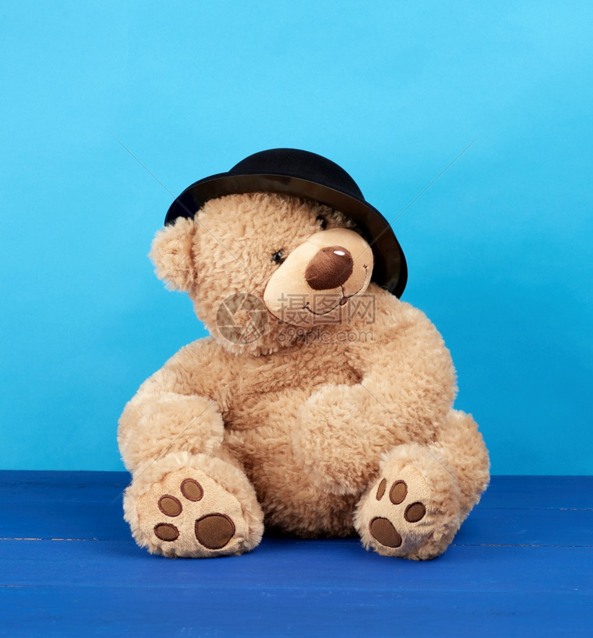 蓝色背景的黑帽子大棕色泰迪熊图片