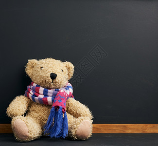 泰迪熊带着围巾图片