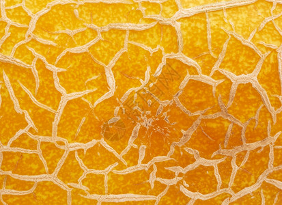 黄熟甜瓜质条全框闭合图片