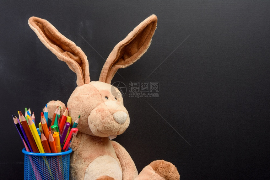 可爱兔子坐在黑色粉笔板的背景上回到学校复制空间图片