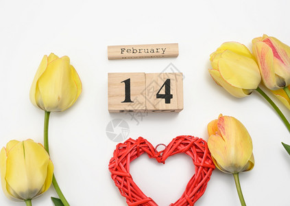 2月14日的黄色郁金香木日历和白底红心顶视图图片