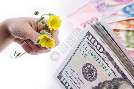 手握花朵夹在美元钞票的套装上图片