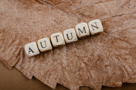 字母组成秋的词语图片