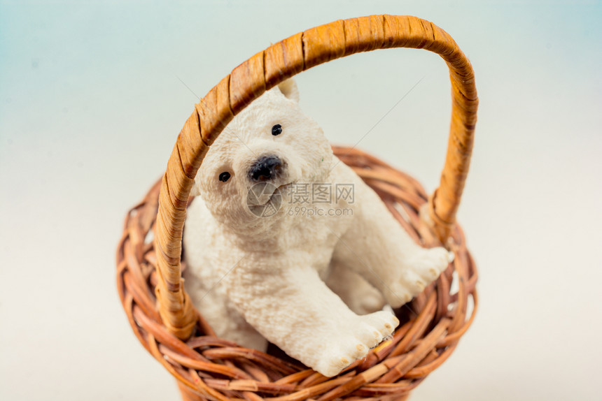 在视图中北极熊模在篮子中图片