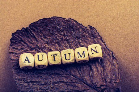 秋的单词图片