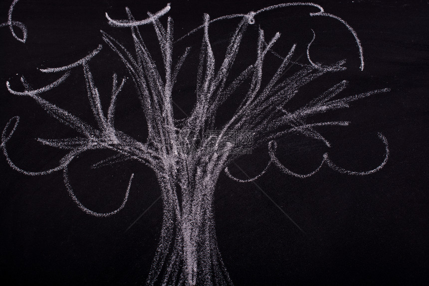 在黑板上用粉笔手画树图片