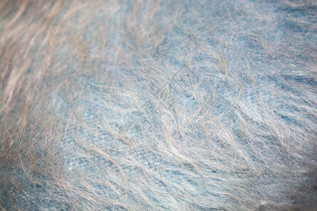 灰色和蓝感觉像织物材料形成质地背景图片
