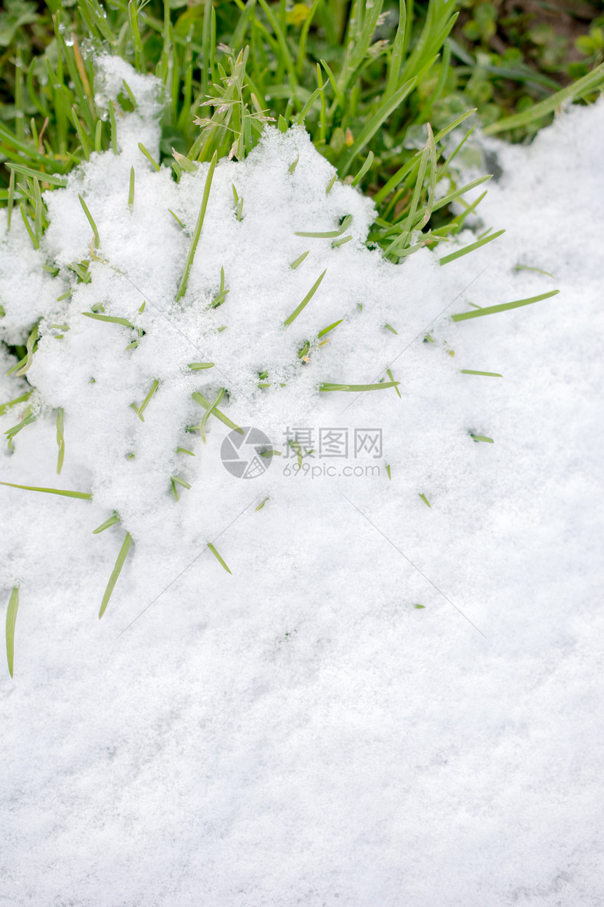 寒冬的青草上白雪图片