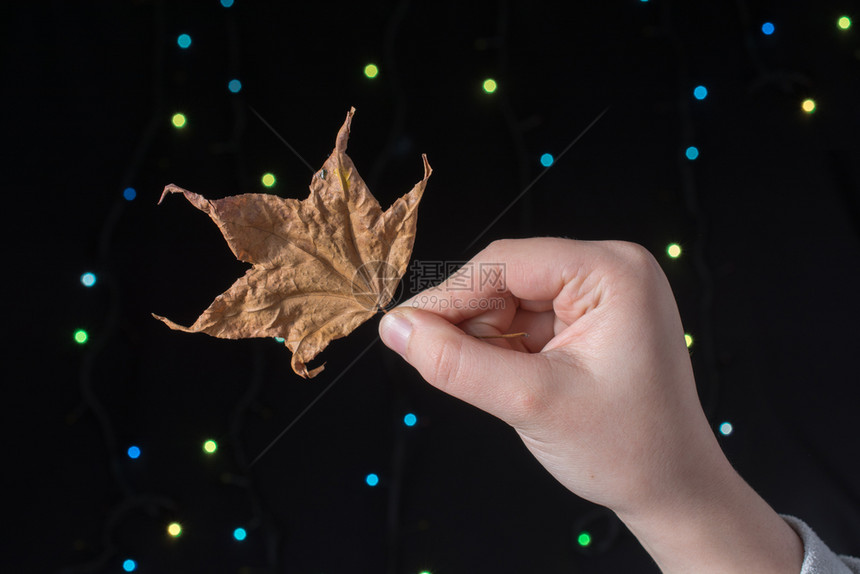 手握的叶子背着一个bokeh光背景图片