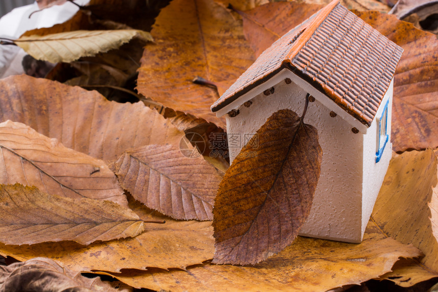 小型模范房屋在秋背景和叶子上安置图片