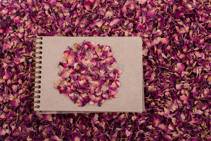 放在螺旋笔记本上的干玫瑰花瓣图片
