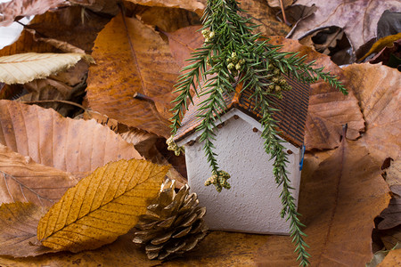 小型模范房屋在秋背景和叶子上安置图片