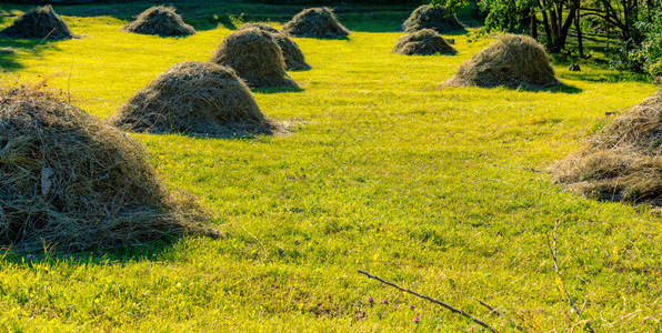 土耳其阿尔特文高地草原的干草堆图片