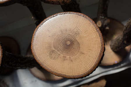 用于木质料背景的一小块剪切木原背景图片
