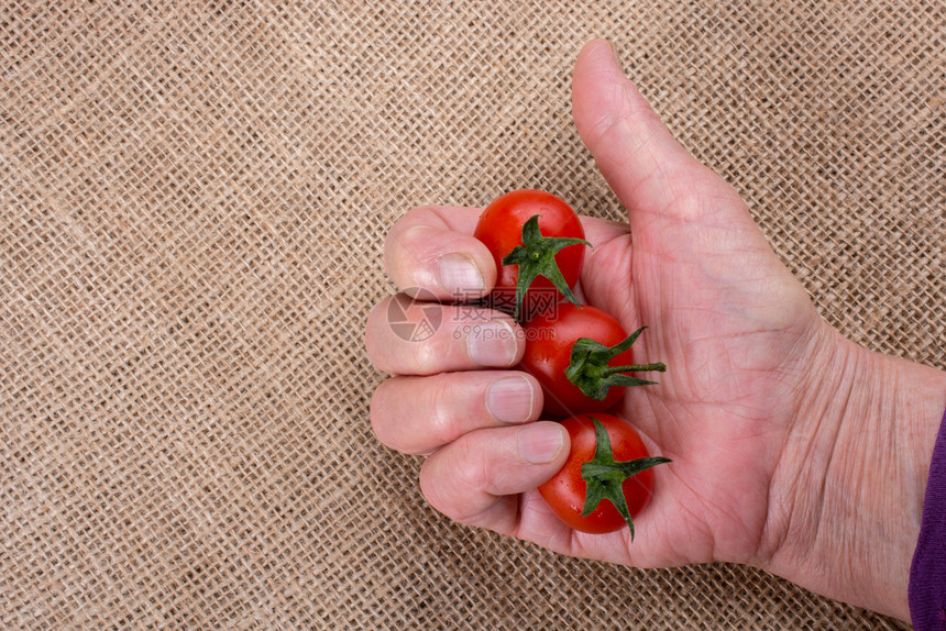 手握着一连串红熟的樱桃番茄图片