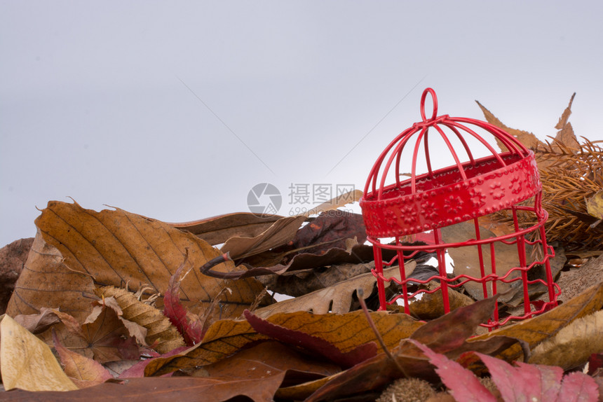 由金属制成的小白鸟屋图片