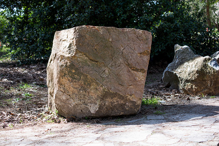 大石头在树边的花园里背景图片