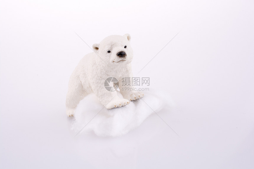 白底的冰上北极熊图片