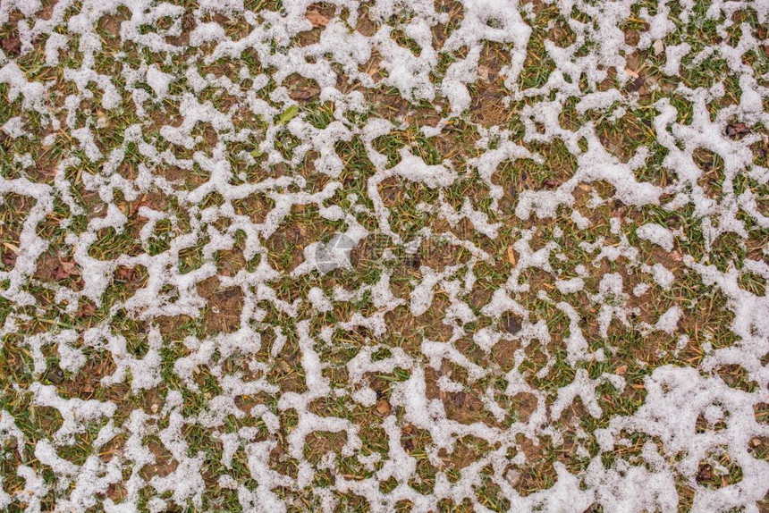 冬季花园草地上白雪层图片