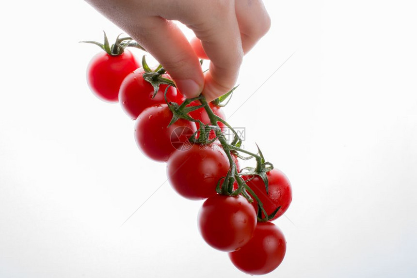 手握着一连串红熟的樱桃番茄图片