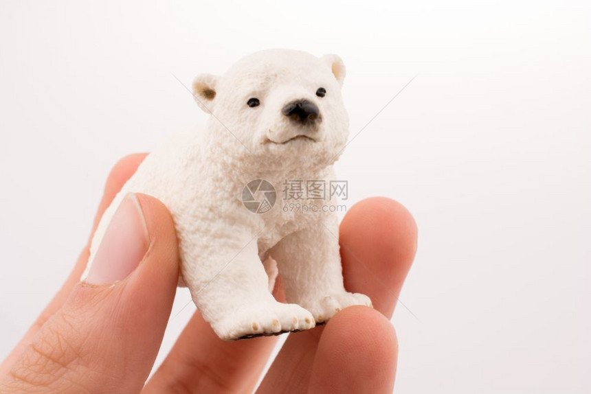 手握白极北熊模型图片