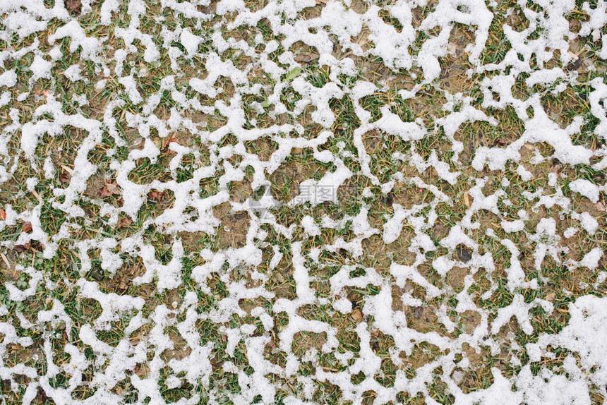 冬季花园草地上白雪层图片