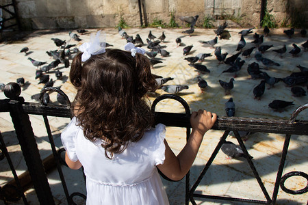 小孩在可爱的鸽鸟中在城市环境觅食图片