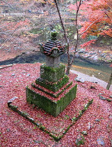 秋天在宫殿的日本院子红叶和黄秋天在宫子的日本院图片