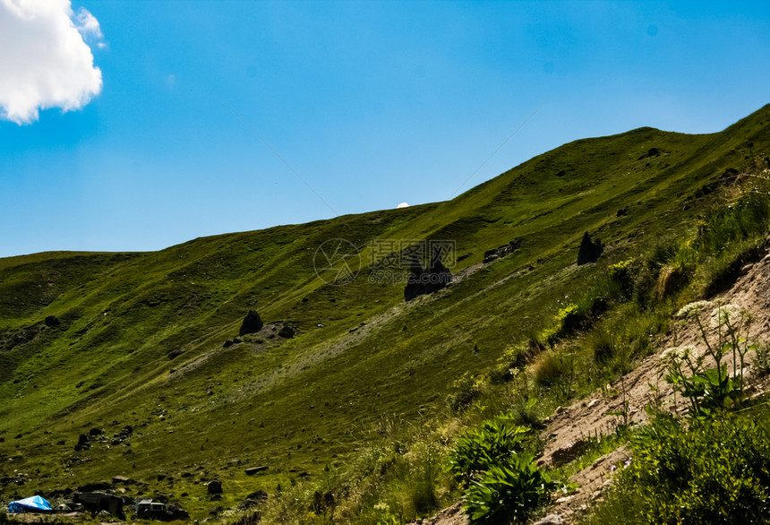 山上有草的山景山地景观山地植被山上有草的山景山地景观图片