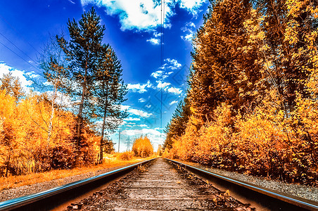 秋季森林背景的铁路图片