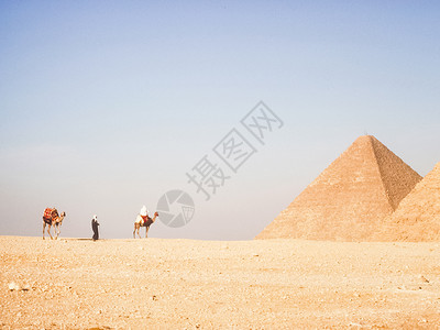 埃及的吸引力金字塔骆驼和废墟埃及的大金字塔旅行的照片骆驼和废墟背景图片