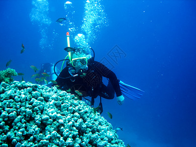 布基亚斯泰国普吉海岸近2018年6月日珊瑚礁上潜水的员珊瑚礁上潜水的员背景