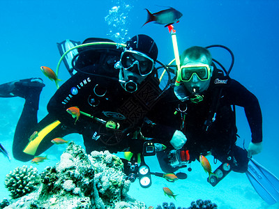 泰国普吉海岸近2018年6月日珊瑚礁上潜水的员珊瑚礁上潜水的员背景图片