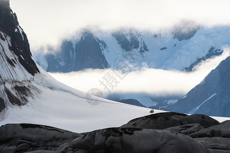 安体舒南极洲海岸景观山脉覆盖着冰雪和冷的海洋背景