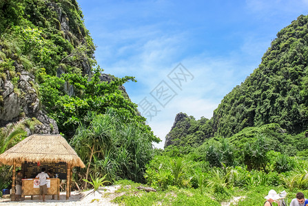 泰国普吉岛山丘上的森林泰国质普吉岛山丘上的森林泰国质图片