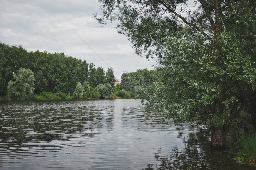 俄罗斯中部自然界沿9703号河岸有个小池塘长着高的树图片
